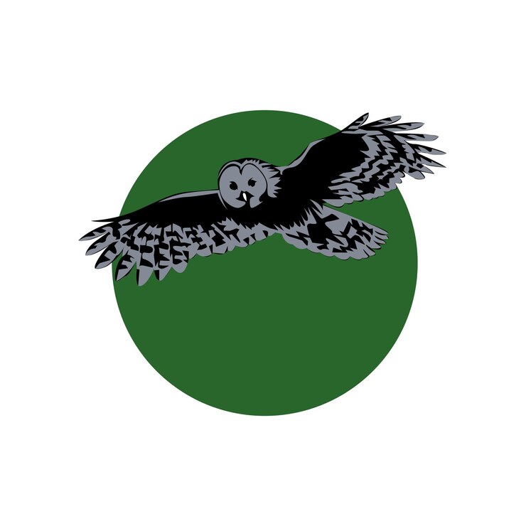 Vector ilustración de owl