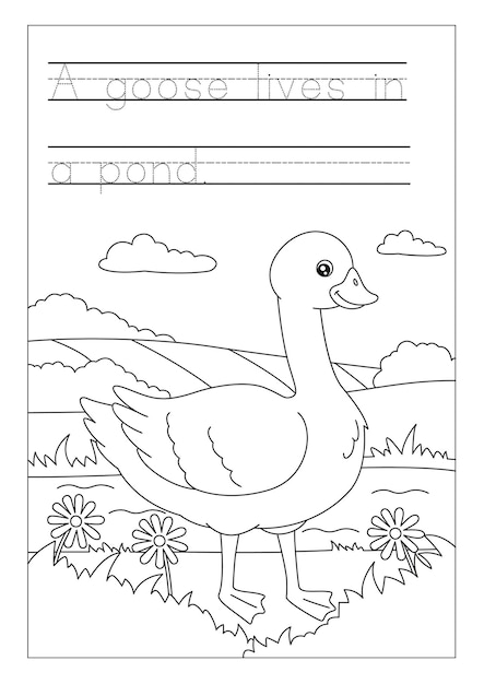 Ilustración de página de colorear de gallina vectorial dibujada a mano