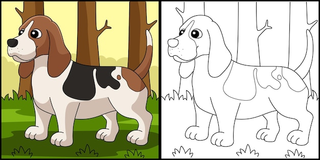 Ilustración de página para colorear de perro Basset Hound