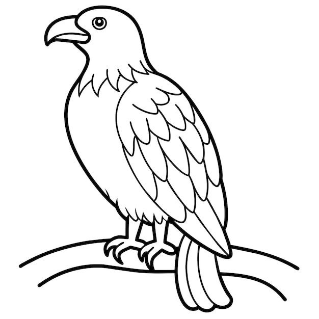 Vector ilustración de la página del libro de colorear águila 29