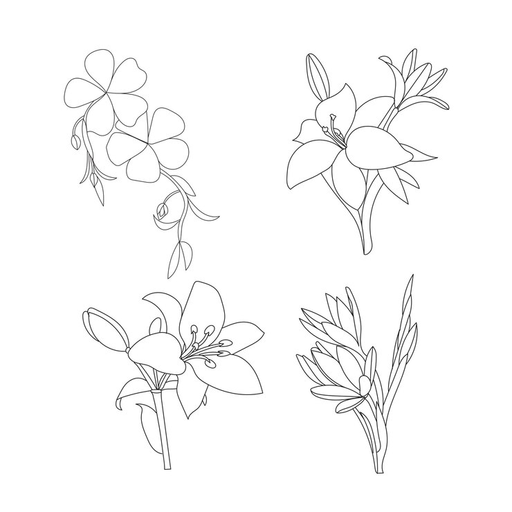 Ilustración de las páginas del libro de colorear flores