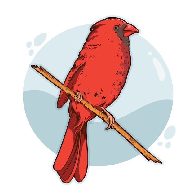 Ilustración de pájaro cardenal dibujado a mano