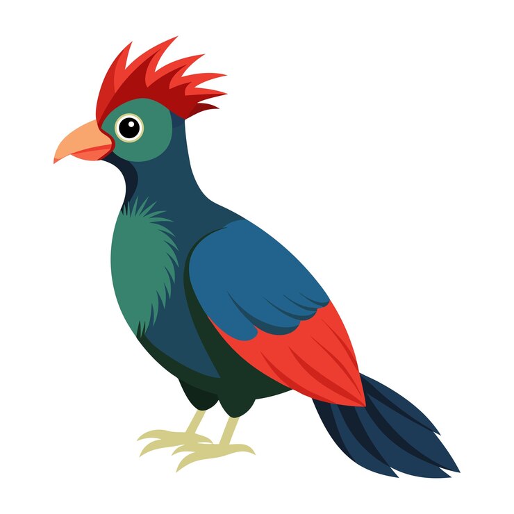 Vector ilustración del pájaro turaco aislado en blanco