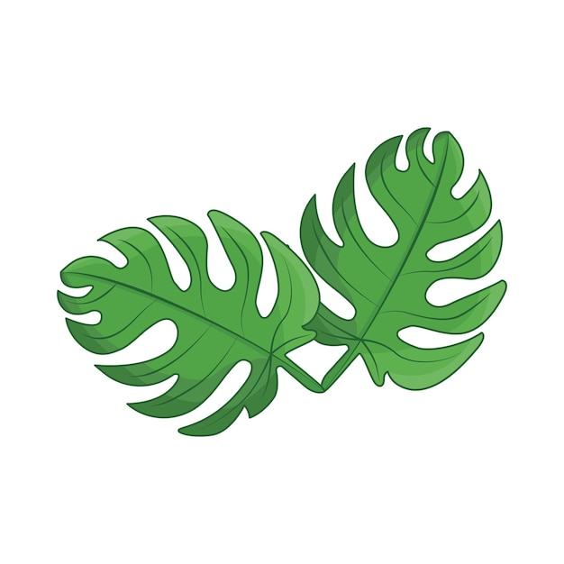 Ilustración de la palma