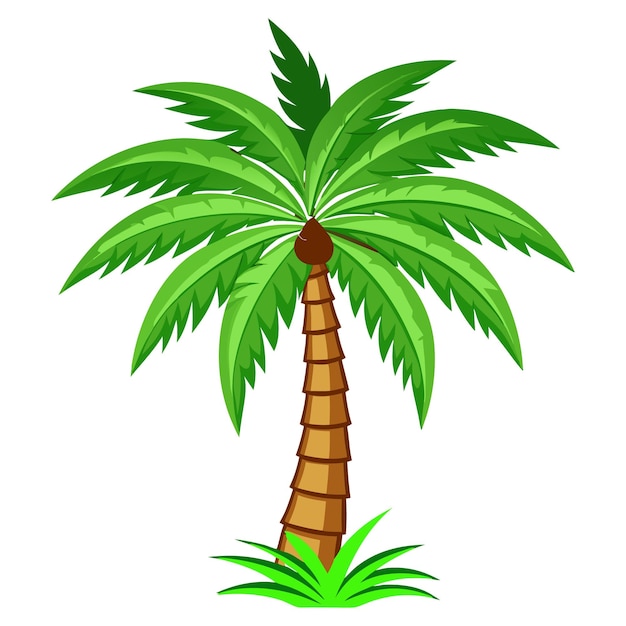 Ilustración de la palmera realista