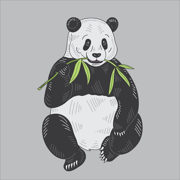 Ilustración de Panda Vector