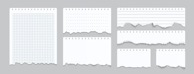 Ilustración de papeles de cuaderno rasgados