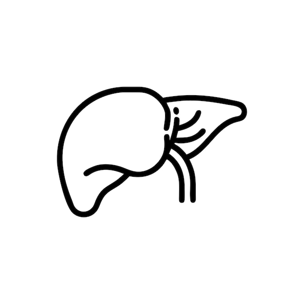 Ilustración de la parte de la anatomía en la ciencia médica