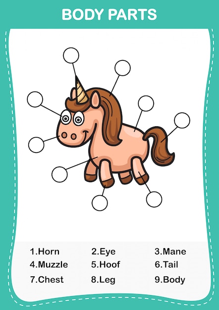 Ilustración de la parte del cuerpo del vocabulario del caballo, escriba el número correcto de partes del cuerpo.vector
