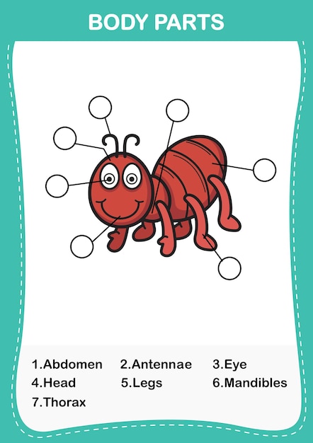 Ilustración de la parte del cuerpo del vocabulario de las hormigasescribe el número correcto de partes del cuerpo