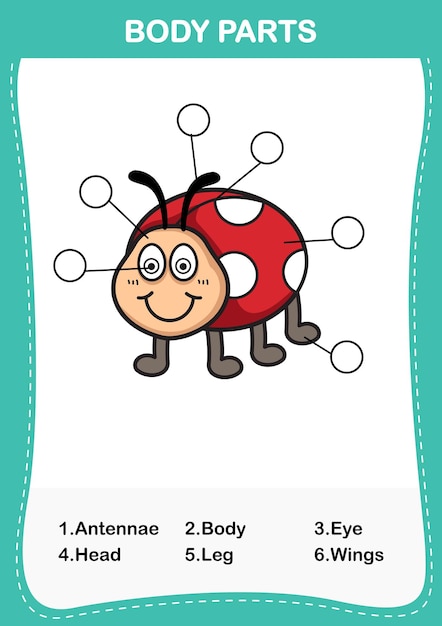 Ilustración de la parte del cuerpo del vocabulario de lady bugEscribe el número correcto de partes del cuerpo