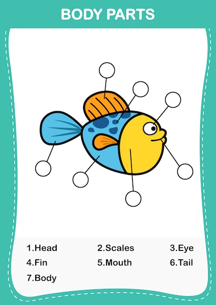 Ilustración de la parte del cuerpo del vocabulario de los peces, escriba los números correctos de partes del cuerpo.