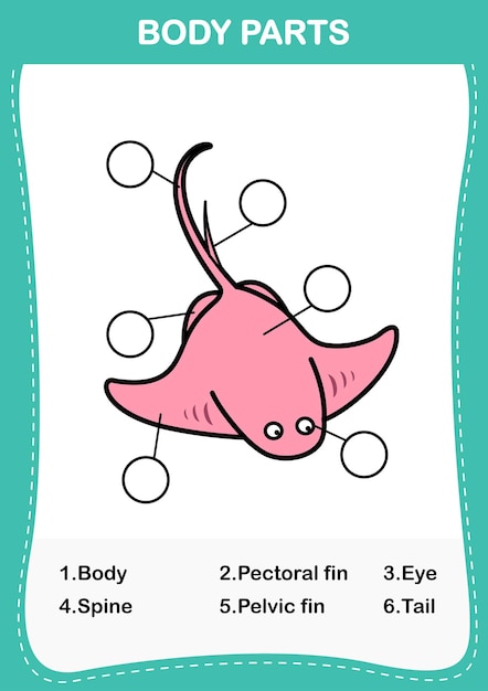Ilustración de la parte del cuerpo del vocabulario de la raya Escriba los números correctos de las partes del cuerpo vector