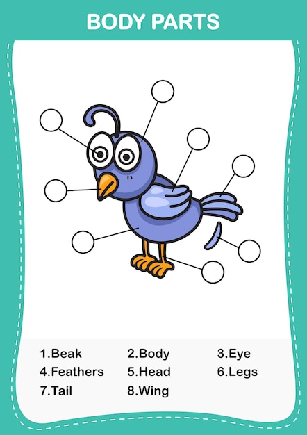 Ilustración de la parte del cuerpo del vocabulario ruiseñorescribe el número correcto de partes del cuerpo