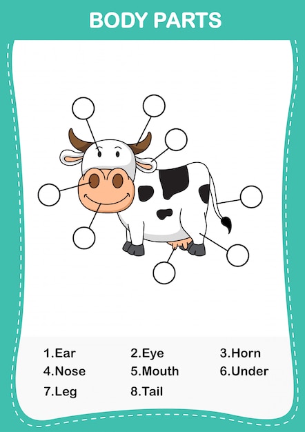 Ilustración de la parte del cuerpo del vocabulario de la vaca, escriba los números correctos de las partes del cuerpo