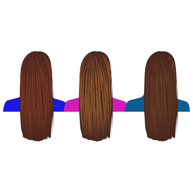 Vector ilustración de la parte trasera del cabello de las mujeres.