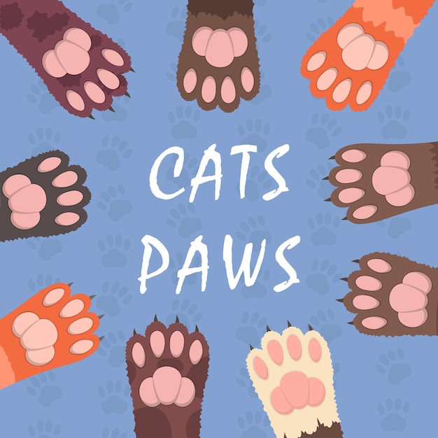 Ilustración de patas de gatos multicolores esponjosos