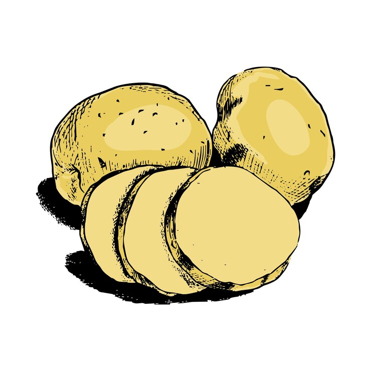 Vector ilustración de una patata en el estilo linart con color