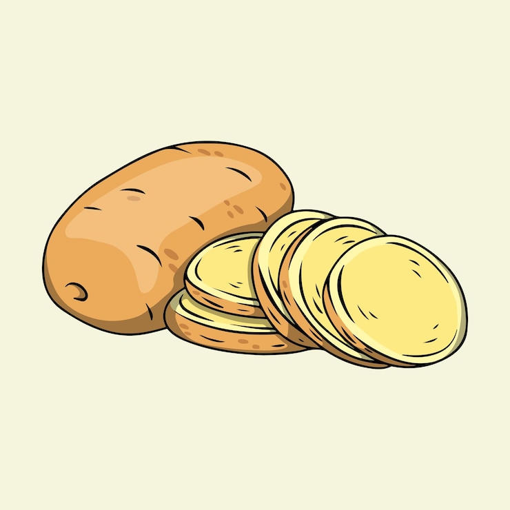 Vector ilustración de patatas crudas enteras y en rodajas