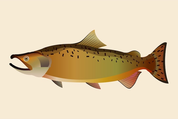 Vector ilustración de peces aislados