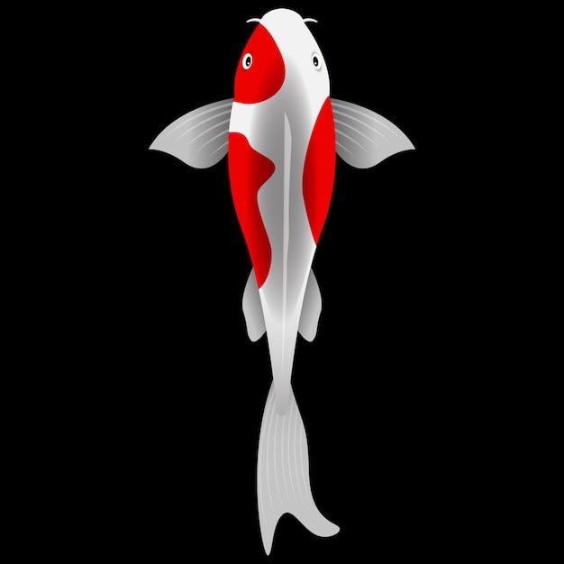 Vector ilustración de peces koi en negro