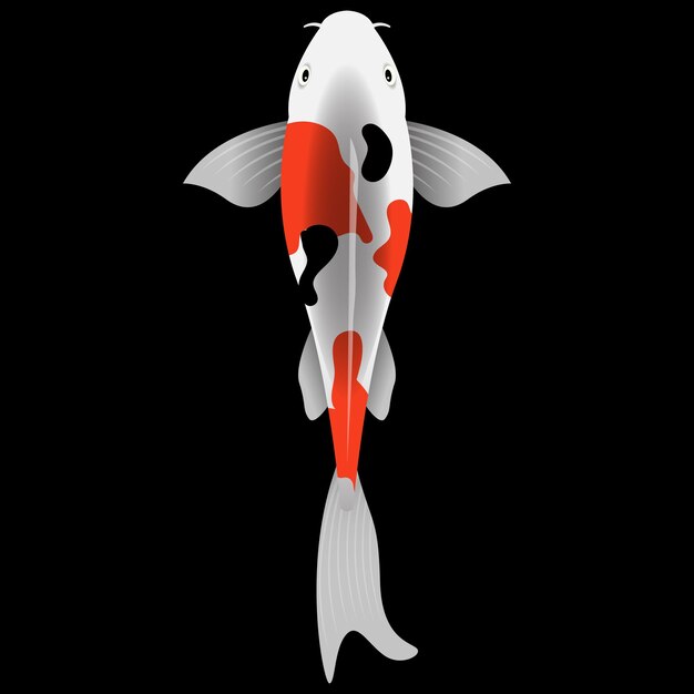 Vector ilustración de peces koi en negro