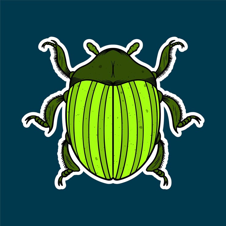 Vector ilustración de pegatinas de doodle de insectos dibujadas a mano