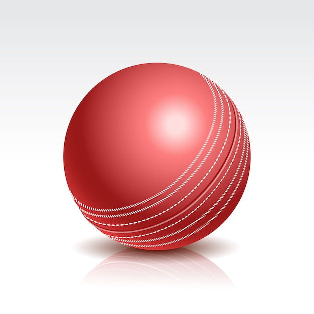 Ilustración de una pelota de cricket