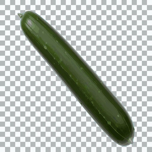 Ilustración de pepino verde fresco para el diseño para todos los propósitos