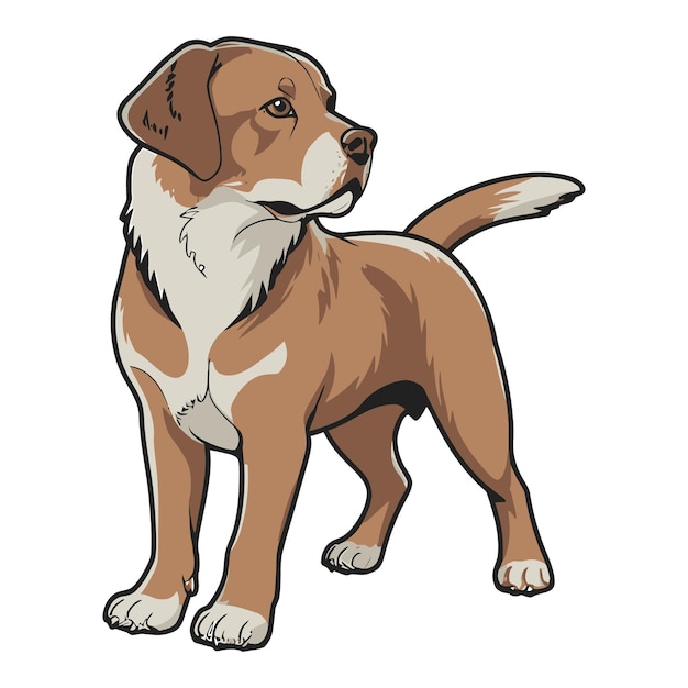Ilustración de perro Beagle bonito dibujado a mano para mascotas