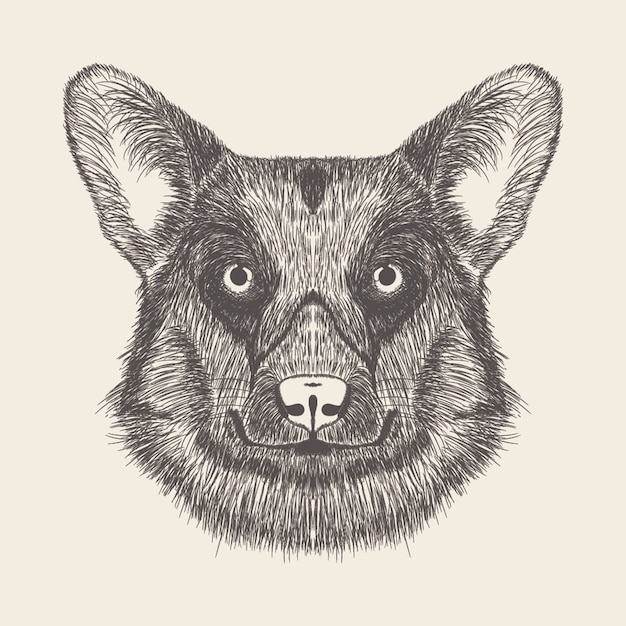 Ilustración de perro de diseño dibujado a mano.