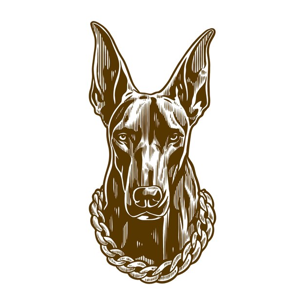 Ilustración de un perro doberman con una gran cadena alrededor de su cuello en el estilo de un antiguo il grabado