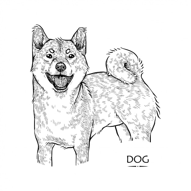 Ilustración de un perro lindo