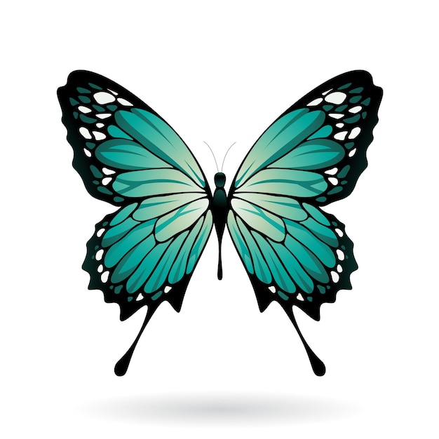 Ilustración persa de mariposa verde y negra