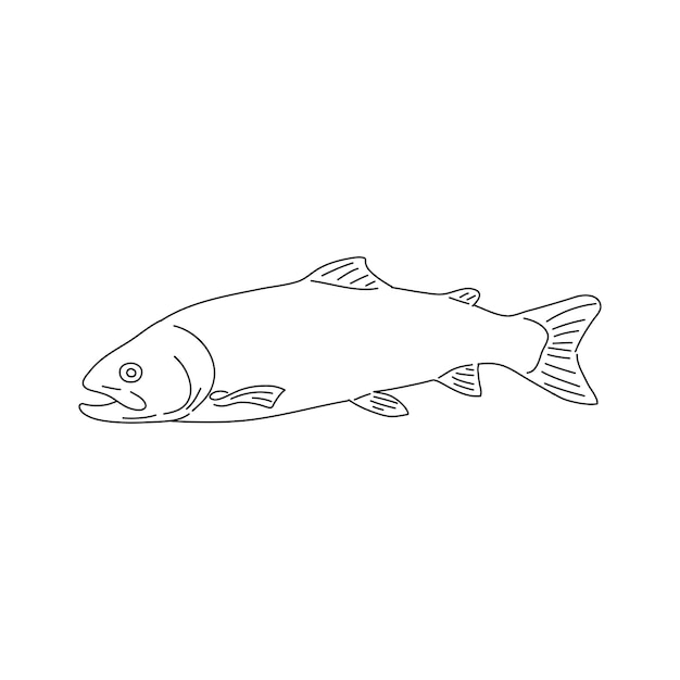 Ilustración de pescado salmón Vector dibujado a mano