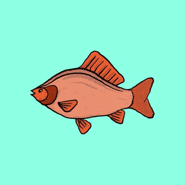 Ilustración de pescado vector de estilo vintage colorido de dibujos animados dibujados a mano