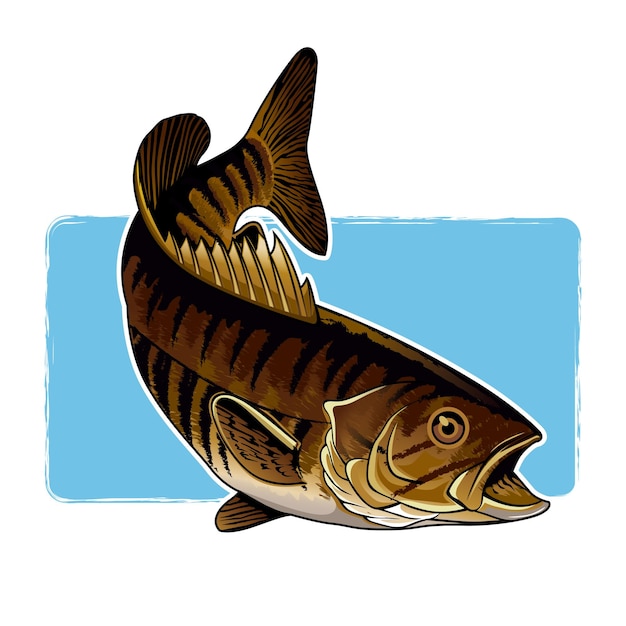 Vector ilustración de pescado
