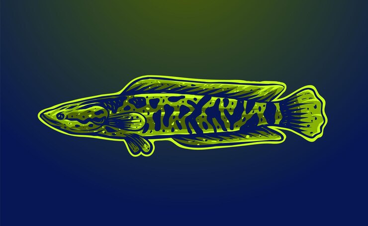 Vector ilustración de pez cabeza de serpiente