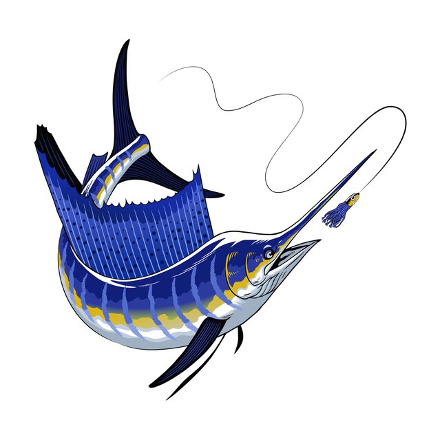 Ilustración del pez vela del atlántico persiguiendo el señuelo de la pesca