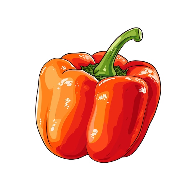 Vector ilustración de pimiento morrón de color plano dibujado a mano