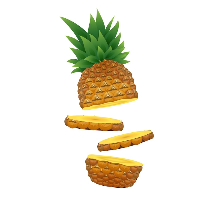 Vector ilustración de piña con rodaja. vector