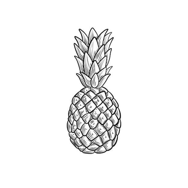 Ilustración de piña vectorial dibujo en blanco y negro estilo grabado fruta aislada