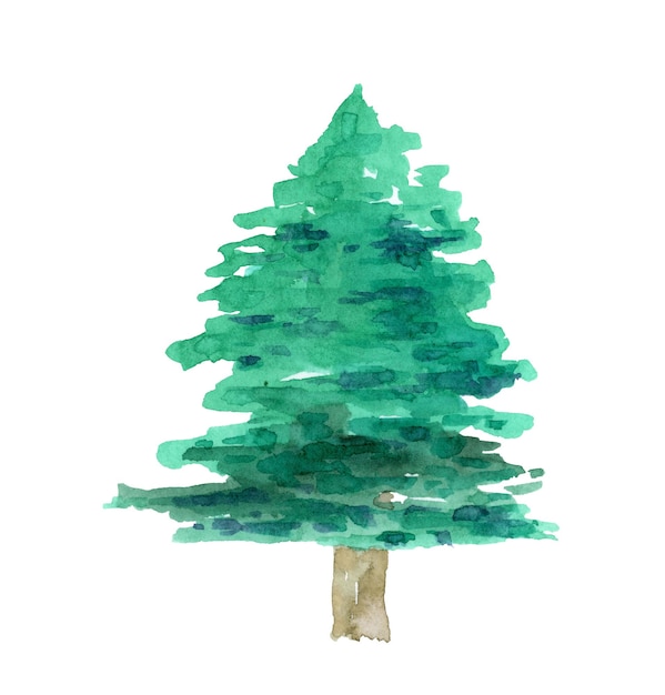 Ilustración de un pino de acuarela verde