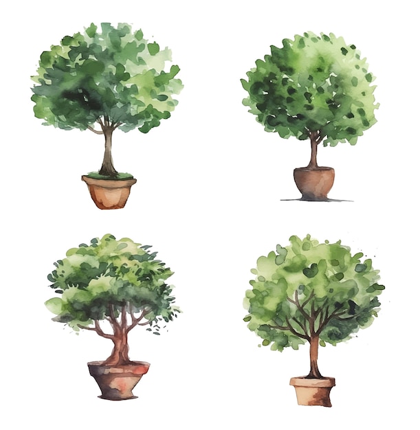 Ilustración de pintura de acuarela de planta de árbol