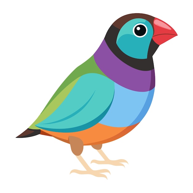 Ilustración del pinzón de Gouldian aislado