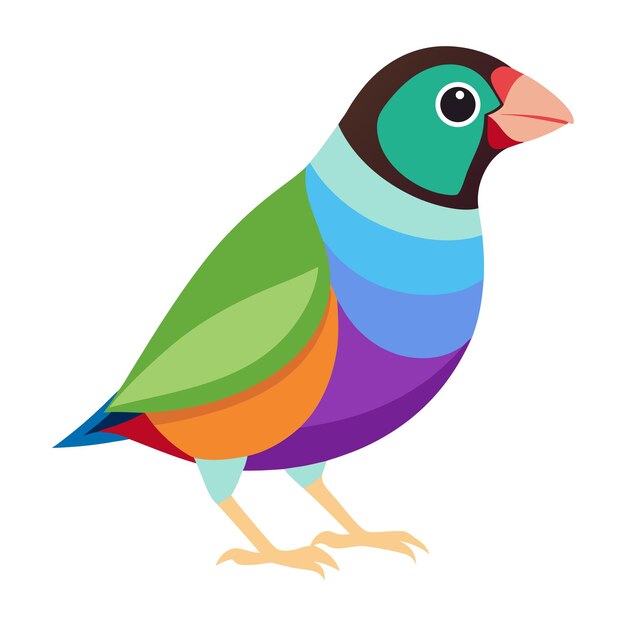 Ilustración del pinzón de Gouldian aislado
