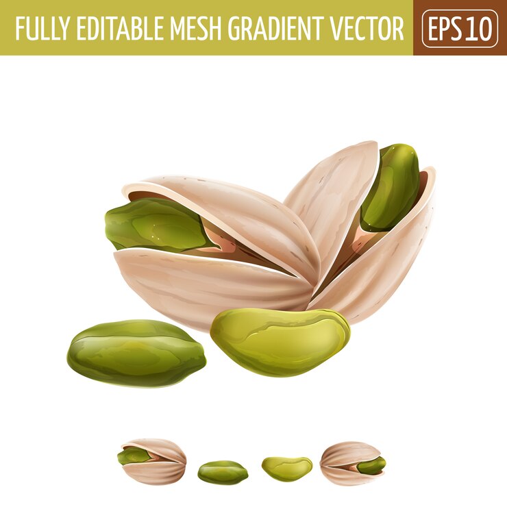 Vector ilustración de pistachos en blanco