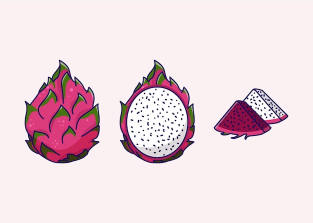 Vector ilustración de pitaya o fruta del dragón