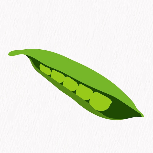 Ilustración plana dibujada a mano con vegetales de guisante verde fresco. Diseño de receta de ensalada vegetariana.