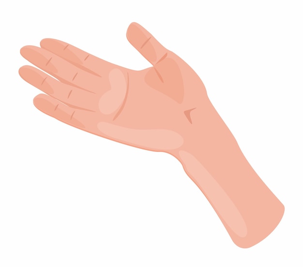 Ilustración plana de dibujos animados de mano levantada Vector mano abierta humana aislada sobre fondo blanco